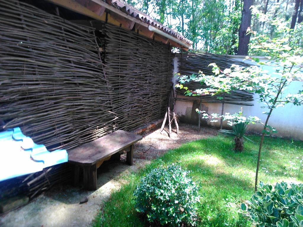 Kolkhida Resort & Spa Ureki Zewnętrze zdjęcie