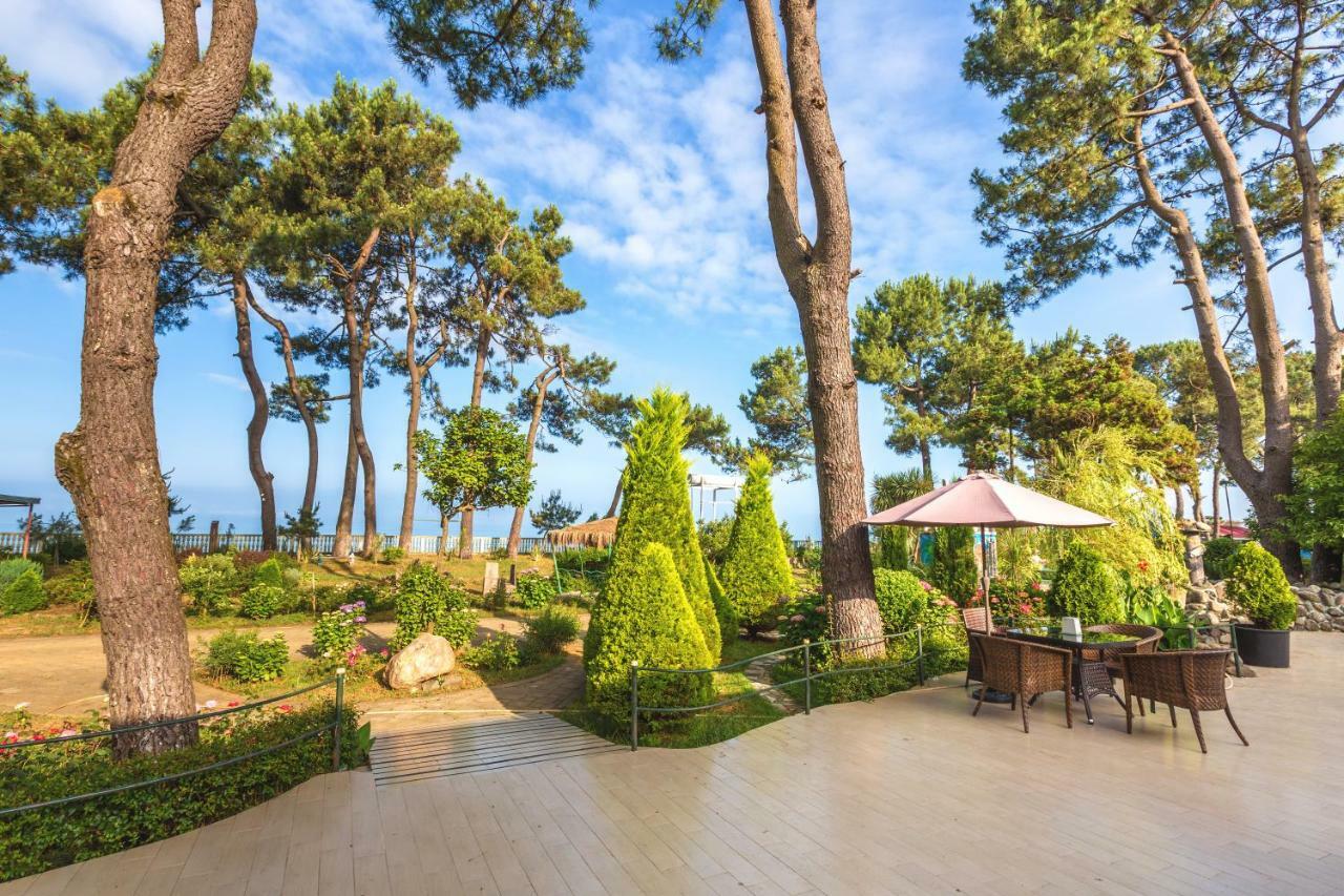 Kolkhida Resort & Spa Ureki Zewnętrze zdjęcie
